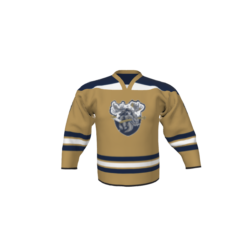 Hockey Boston Style Sublimated Hockey Jersey. (x 16)
